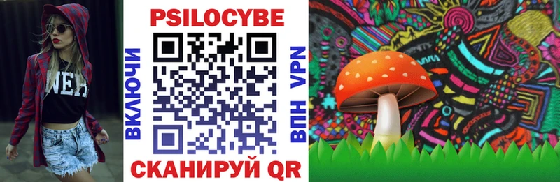 Псилоцибиновые грибы MAGIC MUSHROOMS  Чердынь 